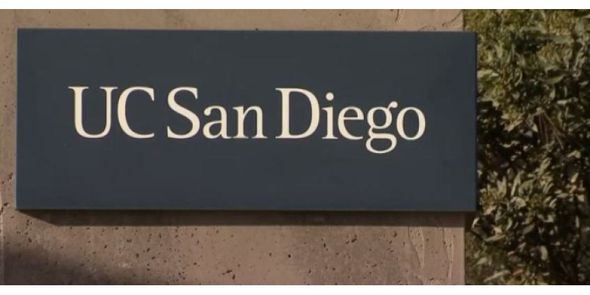 Со 2 июня в Сан-Диего разрешили загорать на пляжах