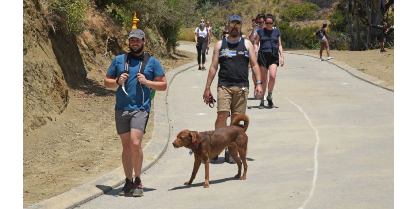 В Лос-Анджелесе зафиксировано крупнейшее за один день общее количество случаев заражения COVID-19 с начала пандемии