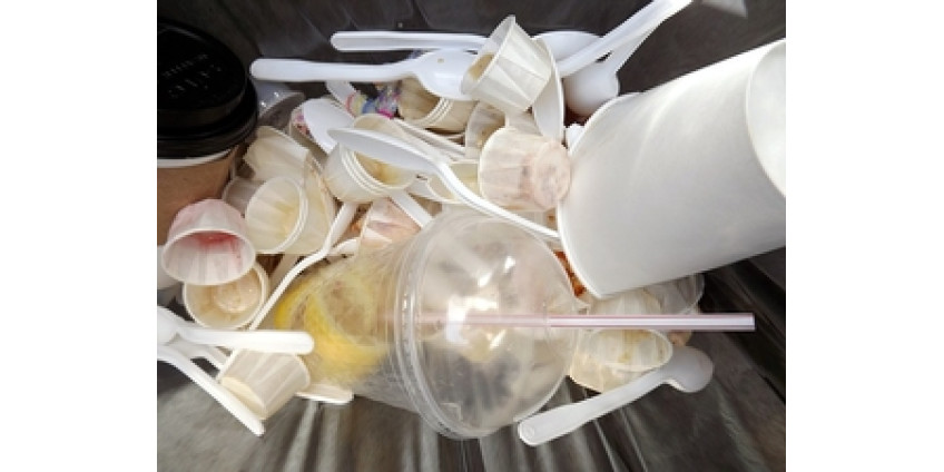 В американских национальных парках ежегодно выпадает тысяча тонн микропластика