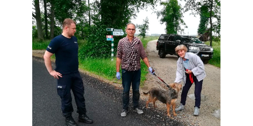 В Польше собака три дня охраняла хозяина, провалившегося в болото