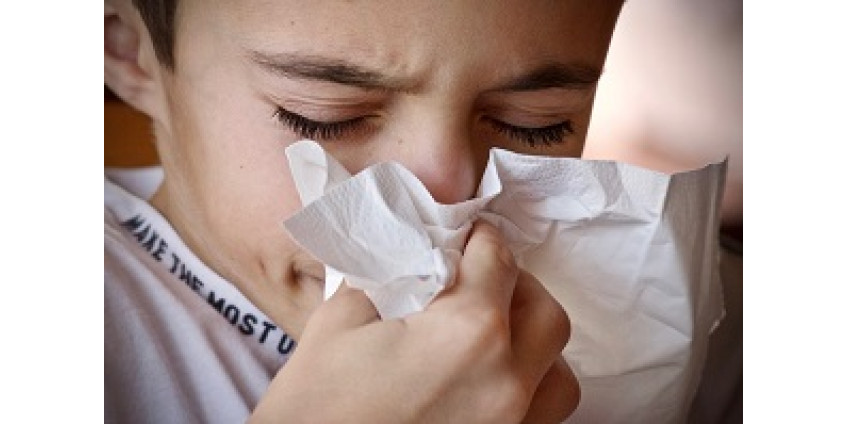 В Китае нашли новый штамм гриппа с потенциалом пандемии