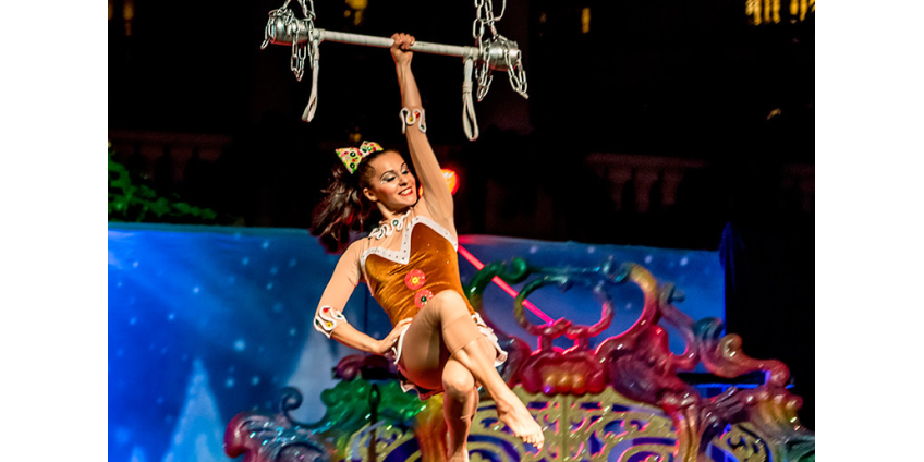 Cirque Du Soleil оказался на грани банкротства из-за отмены шоу в условиях пандемии