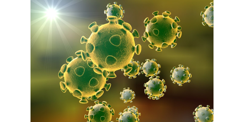 Коронавирус: в округ Сан-Диего 489 новых положительных случаев и 10 смертей