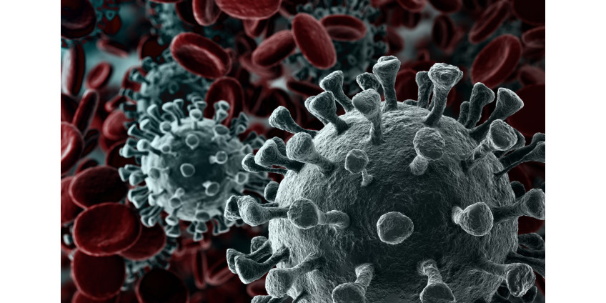 ВОЗ решила прекратить испытания трех препаратов против COVID-19