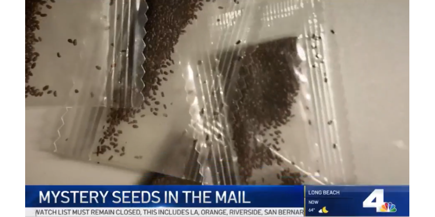 Жителей Лос-Анджелеса предупредили о возможных посылках из Китая с семенами