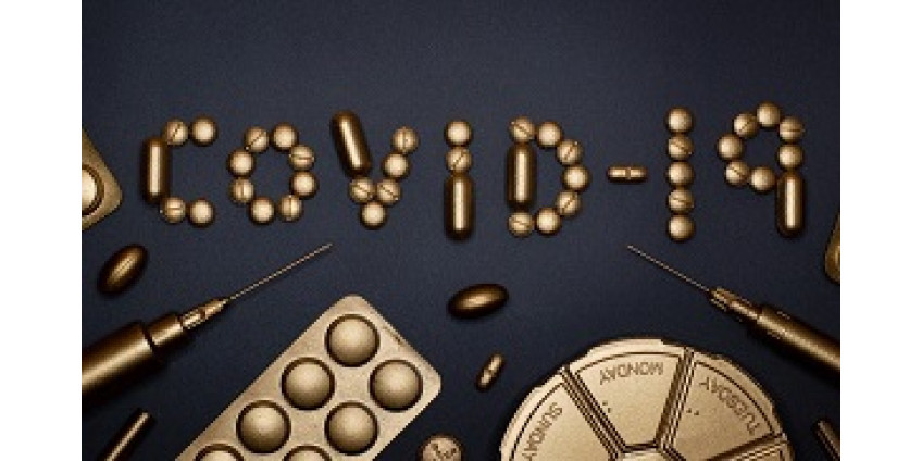 В 6 штатах зарегистрировано рекордное число смертей от COVID-19