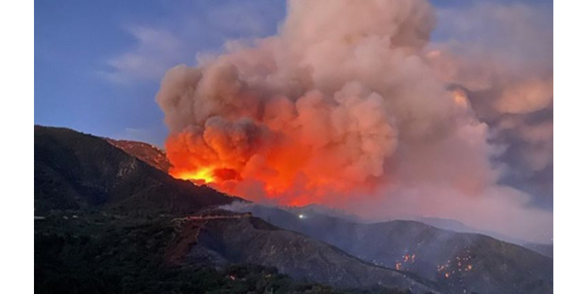 Яблочный пожар будет полностью локализован к 17 августа