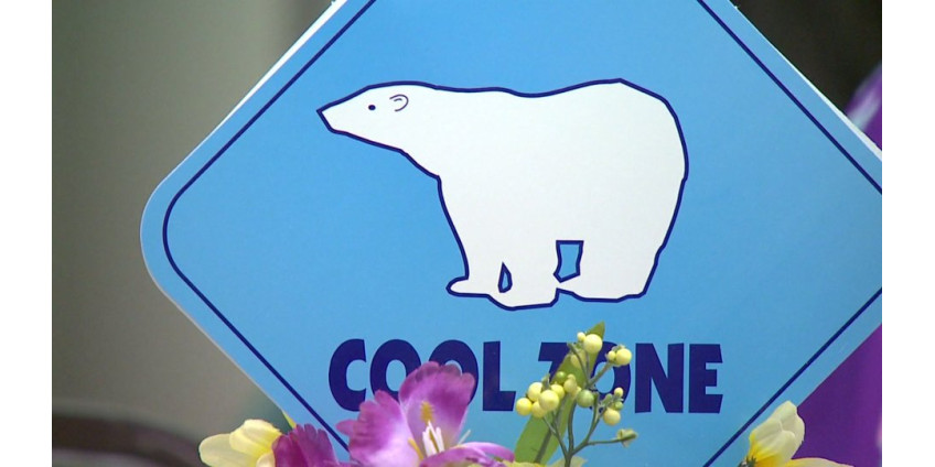 8 прохладных зон теперь открыты в округе Сан-Диего