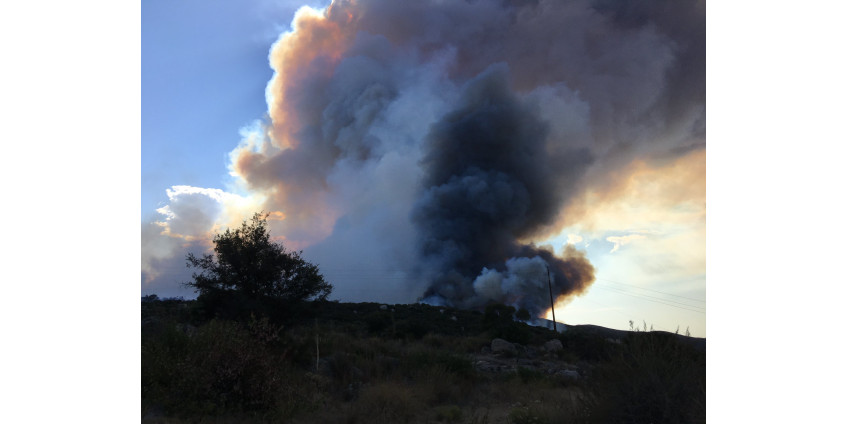 Масштабные пожары в округе Сан-Диего привели к эвакуации жителей