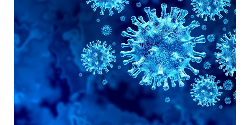 Округ Лос-Анджелес сообщает о 439 новых случаях заболевания COVID-19  и 7 смертях