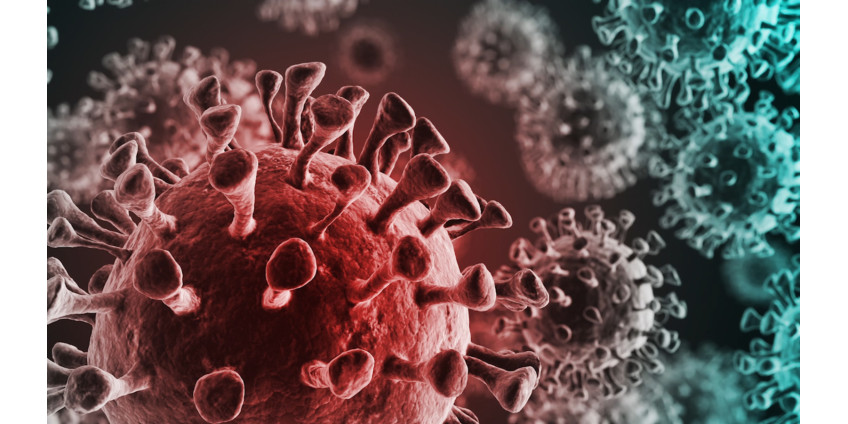 COVID-19: округ Сан-Диего сообщает о 361 новом случае заболевания, 5 смертях