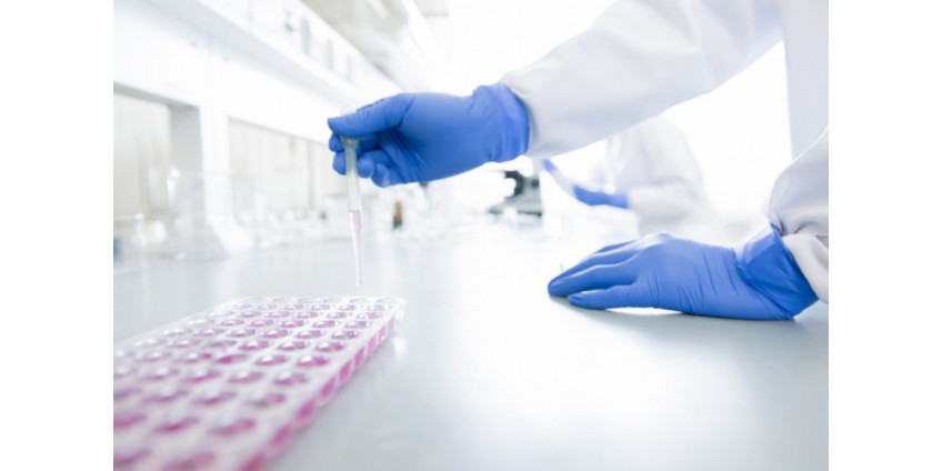 Исследователи: коронавирус мог ударить по Лос-Анджелесу в декабре