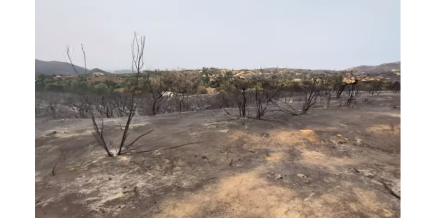 Valley Fire локализован на 87%, идет оценка ущерба Valley Fire локализован на 87%, идет оценка ущерба