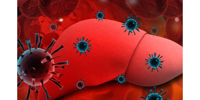 Нобелевскую премию по медицине-2020 получили ученые, открывшие вирус гепатита С