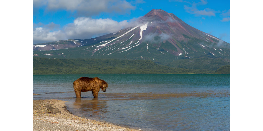 В пробах воды с Камчатки найдено превышение норм содержания железа, фосфата и фенола