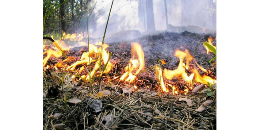 В Сан-Диего остается высокой опасность возникновения пожаров