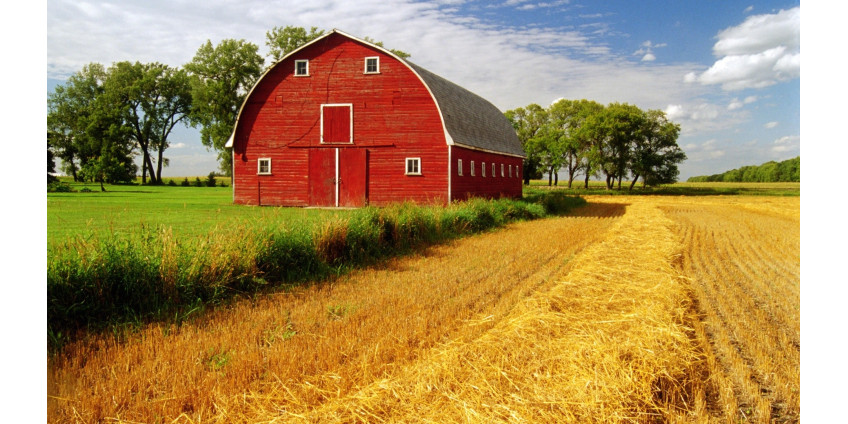 Фермеры Финикса страдают от рекордной жары