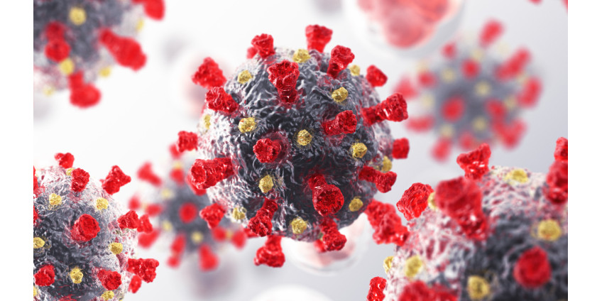 Округ Сан-Диего сообщает о 201 новом случае COVID-19