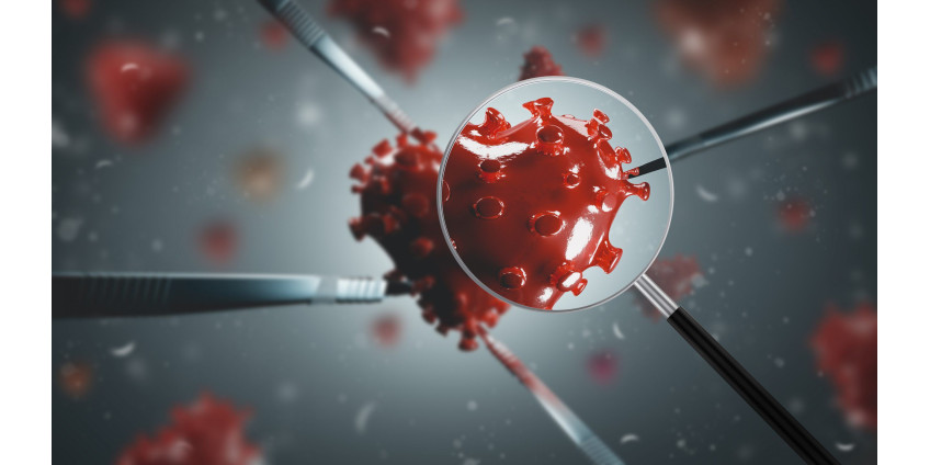 Аризона сообщает о более чем 1000 новых случаях заболевания коронавирусом