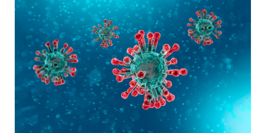 Коронавирус в Сан-Диего: 358 новых случаев, положительный показатель 5%