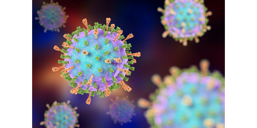 Анализ: к концу февраля от коронавируса умрет полмиллиона американцев
