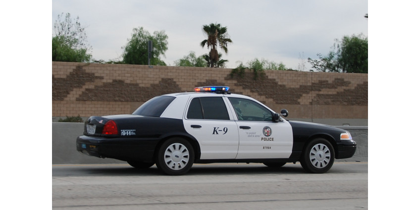 В Лос-Анджелесе были задержаны более 40 человек