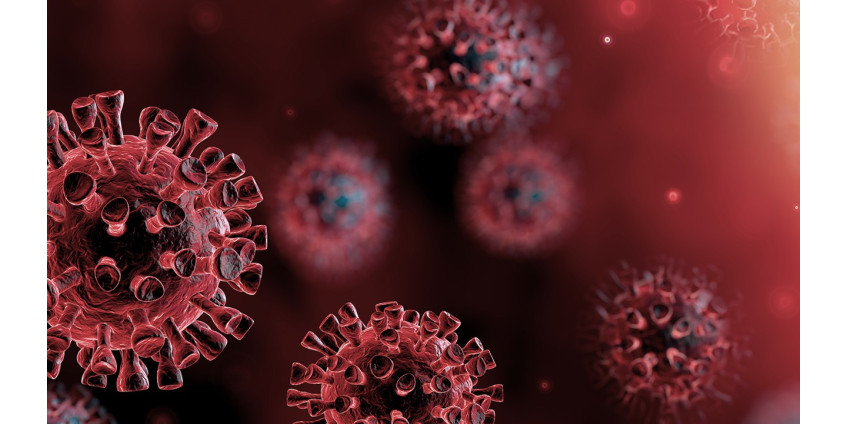 Округ Лос-Анджелес: количество госпитализаций с COVID-19 выросло на 70% за последние 2 недели