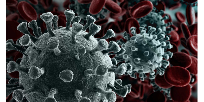 Сан-Диего: зафиксировано 1859 новых случаев заболевания COVID-19, 1 человек погиб