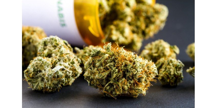 Палата представителей Конгресса США одобрила законопроект о декриминализации марихуаны на федеральном уровне