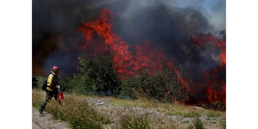 Ветры Санта-Аны повышают риск возникновения лесных пожаров в округе Сан-Диего