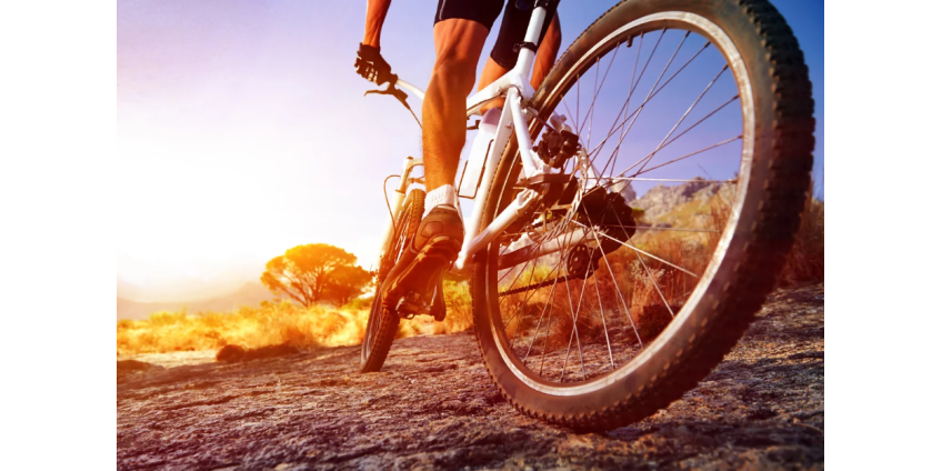 Более 1000 велосипедистов со всего мира приняли участие в виртуальной поездке в память о жертвах аварии в Лас-Вегасе