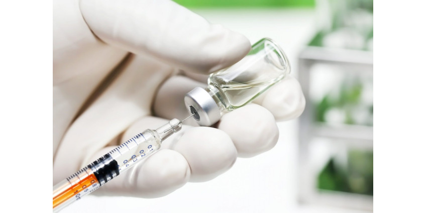 Округ Сан-Диего получил первую партию вакцин Moderna