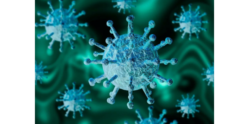 Коронавирус в Аризоне: последние данные о случаях заболевания