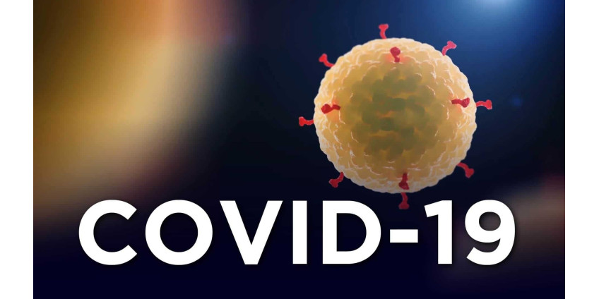 Число жертв COVID-19 резко возросло в округе Лос-Анджелес на фоне сложностей с недостатком мест в больницах