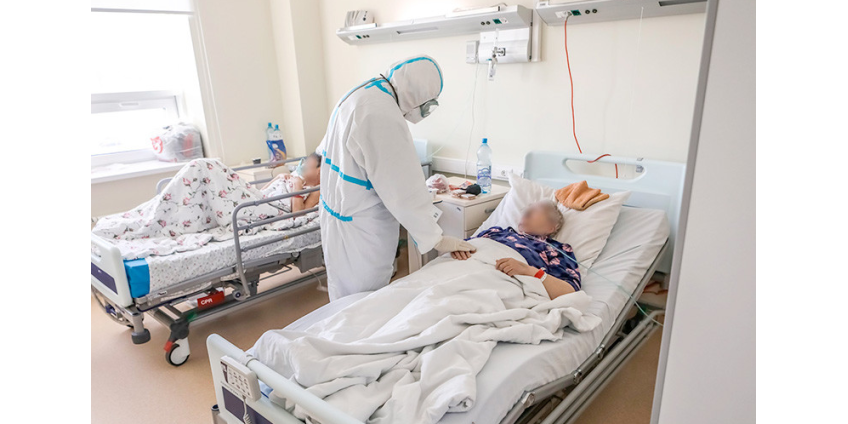 В России за сутки зарегистрировали 24,1 тыс. случаев COVID-19, умерли 504 пациента