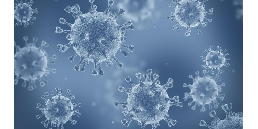Коронавирус станет эндемиком, предрекают ученые