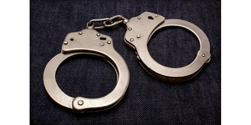 Полиция Лос-Анджелеса произвела более 200 арестов на подпольных вечеринках