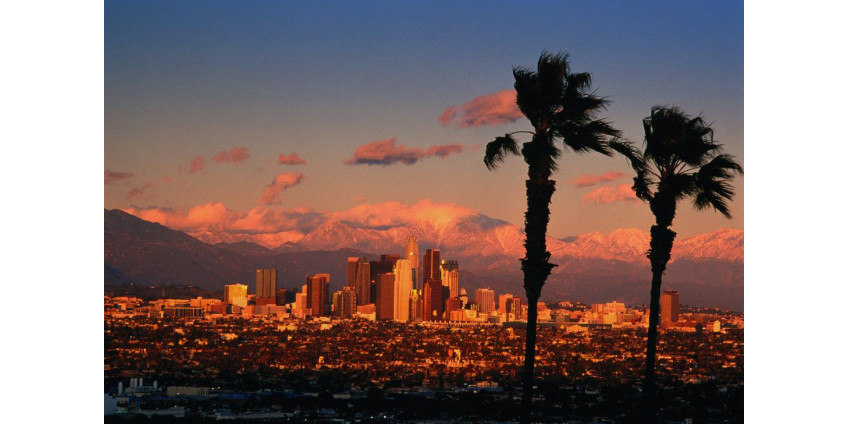 В Лос-Анджелесе на митинг в поддержку Трампа собрались около двух сотен человек