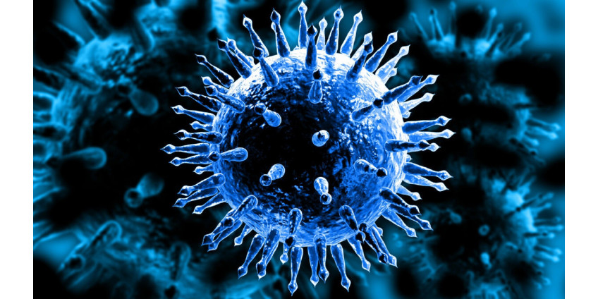 Аризона сообщает о 11 021 случае заболевания COVID-19 и 105 смертях