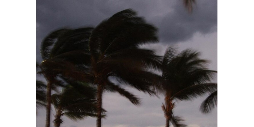 Сильный ветер ожидается в округе Лос-Анджелес до полудня понедельника