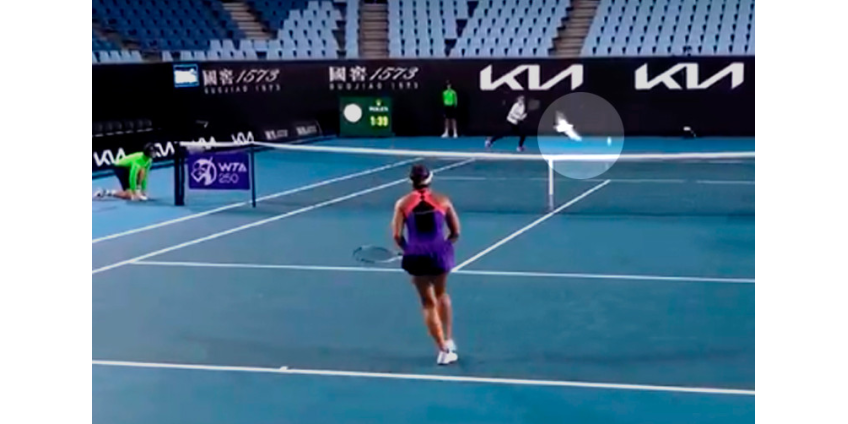 Теннисный матч в Мельбурне прервали из-за нашествия чаек