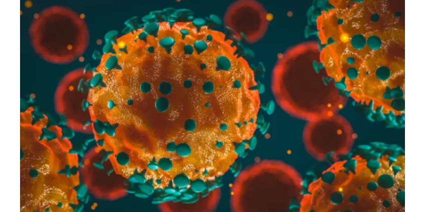 В ВОЗ сообщили наиболее вероятную версию происхождения COVID-19