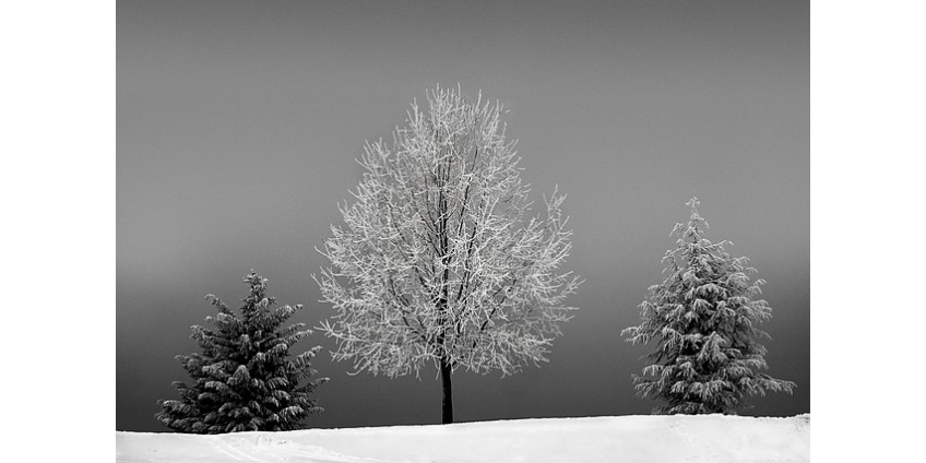 Около 50 человек в США погибли от холодов и снегопадов за неделю