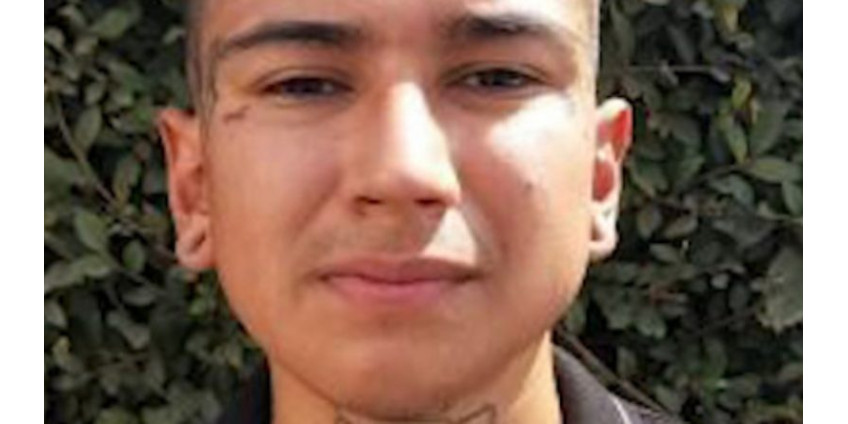 В округе Сан-Диего мужчина пытался утопить жену, а затем закопать в яме с песком