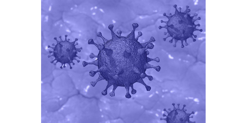 Власти штата Нью-Йорк уличены в сокрытии 35% смертельных случаев от коронавируса в домах престарелых