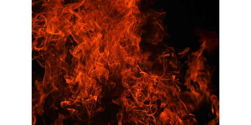 Полицейские Финикса спасли женщину и четверых детей от пожара в доме