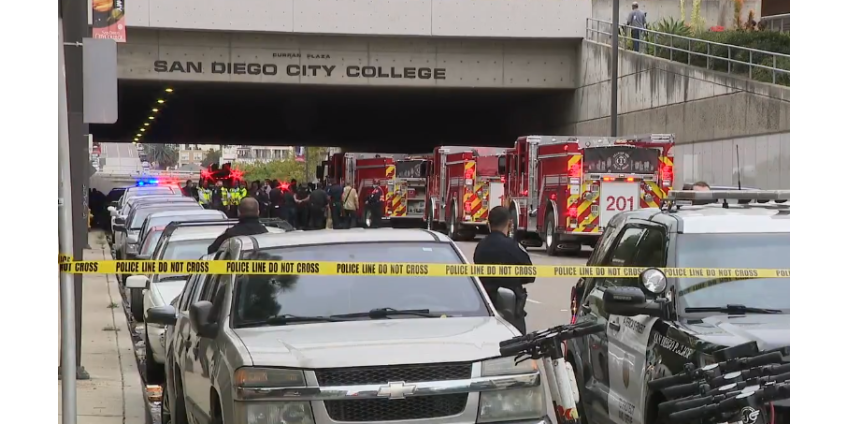 В Сан-Диего под колесами автомобиля погибли три человека