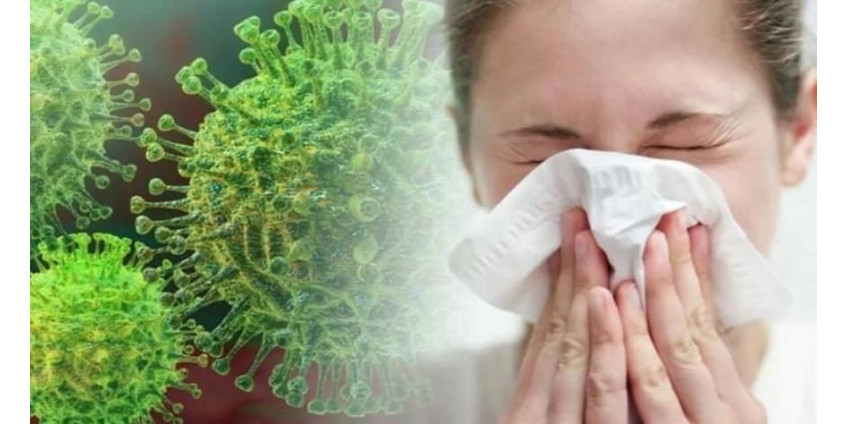 Аризона сообщает о 423 случаях COVID-19 и 46 смертях