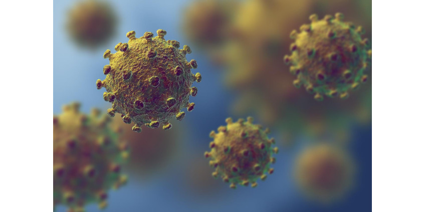 Ситуация с коронавирусом в Неваде продолжает улучшаться