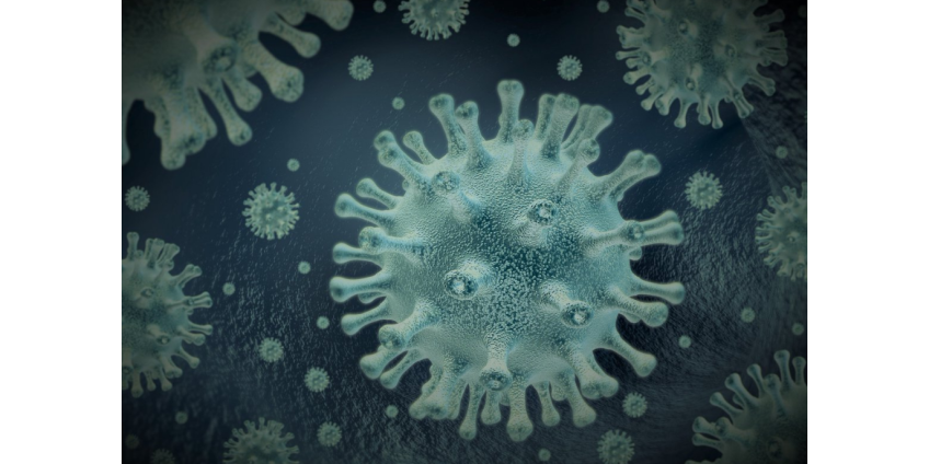 В округе Сан-Диего обнаружен бразильский вариант COVID-19